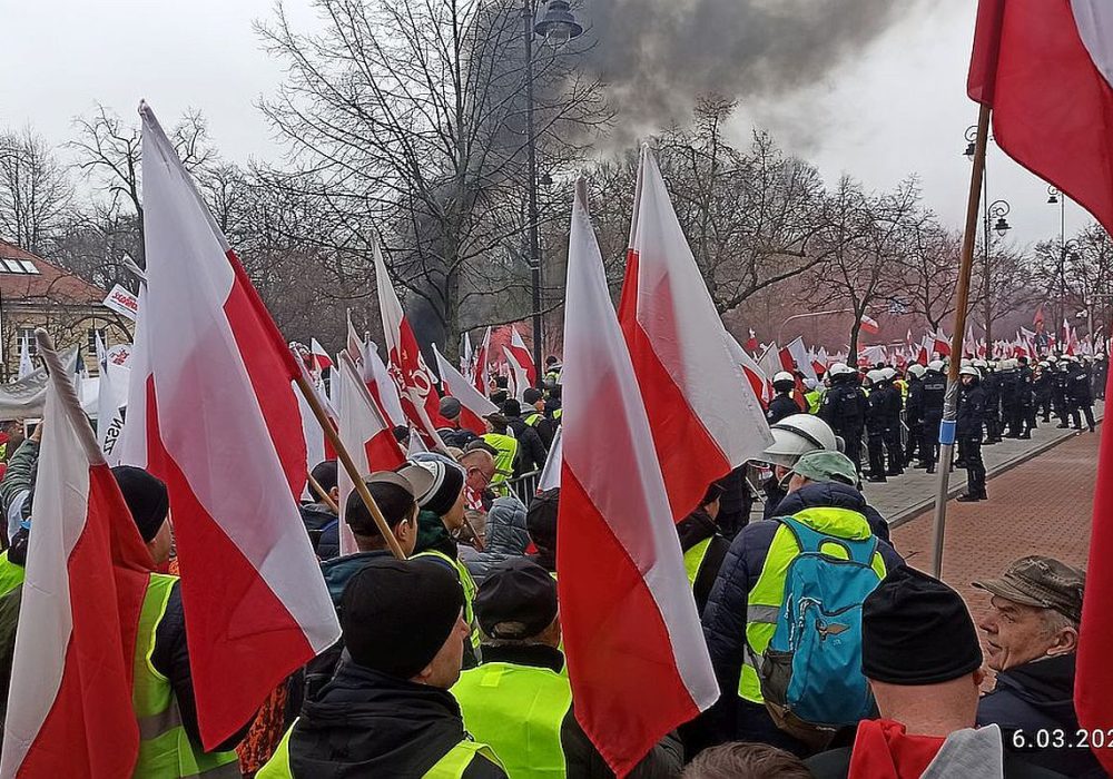 IMG_20240306_105612n